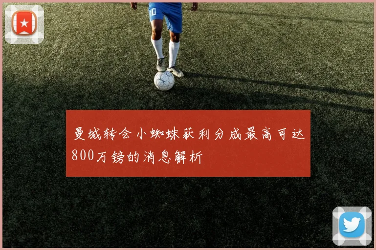 曼城转会小蜘蛛获利分成最高可达800万镑的消息解析