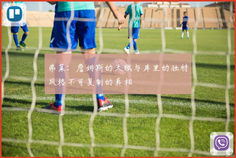 弗莱：詹姆斯的天赋与库里的独特风格不可复制的真相